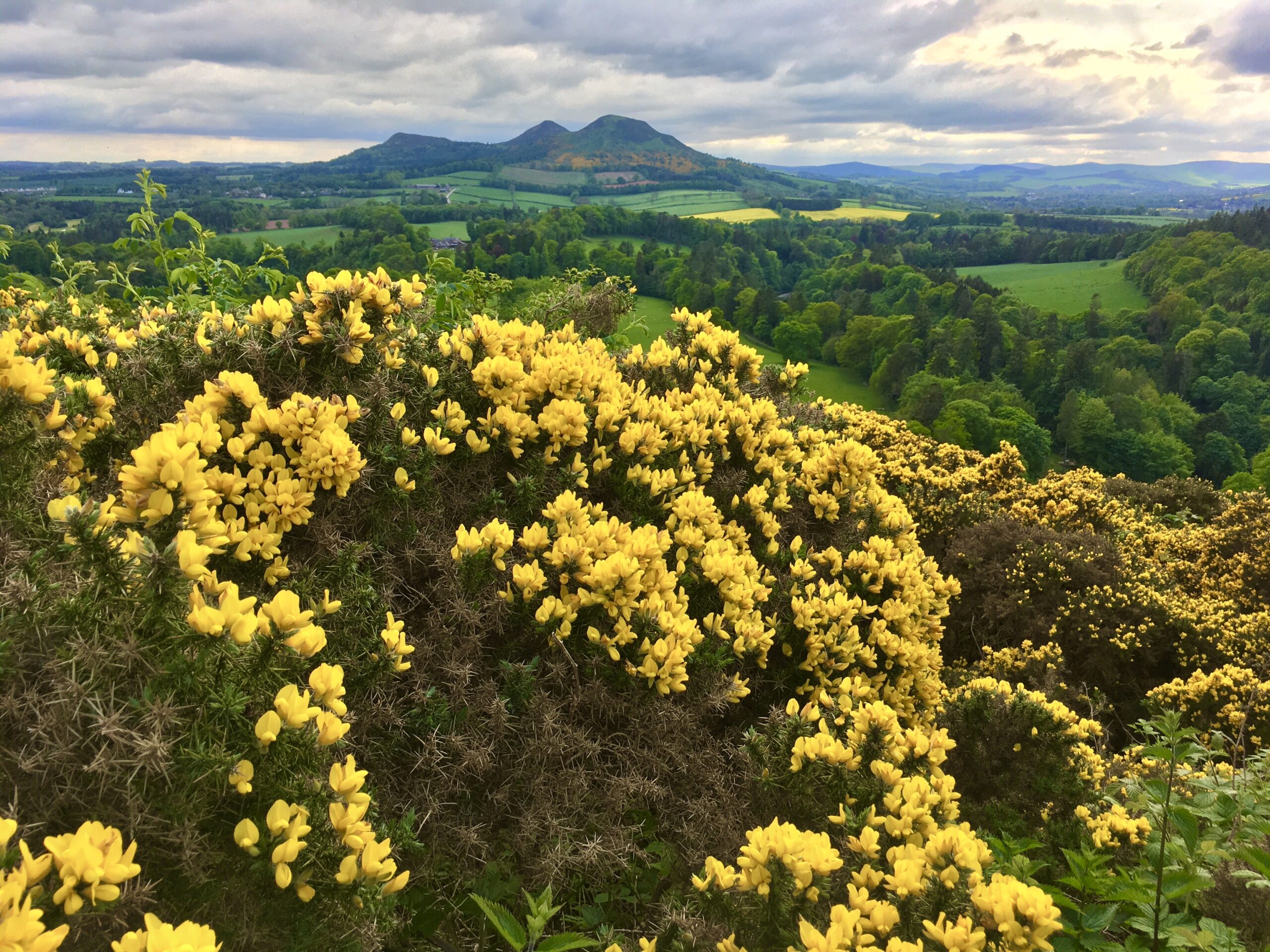 Scotts View - the Eildon Hills